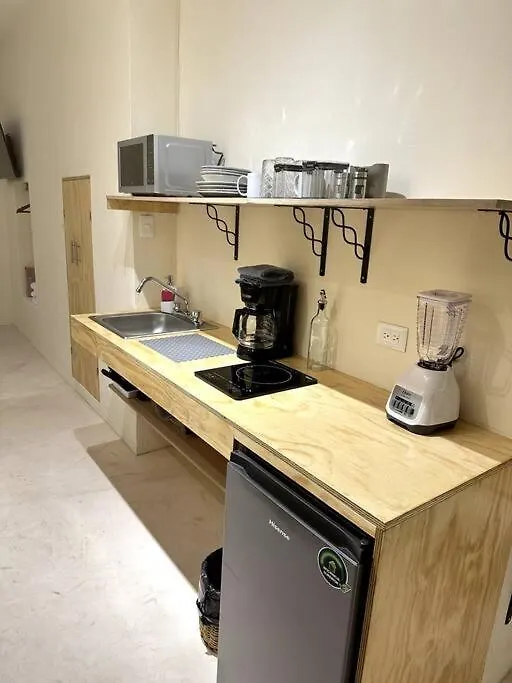 Apartment Bonito Loft En Merida, Yuc Mexico